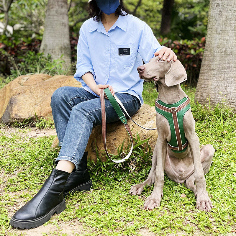 Environmentally Friendly Soft Leather Pet Harness Dog Haulage Rope Package Medium and Large