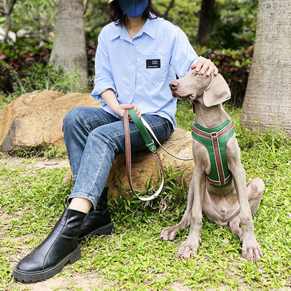 Environmentally Friendly Soft Leather Pet Harness Dog Haulage Rope Package Medium and Large