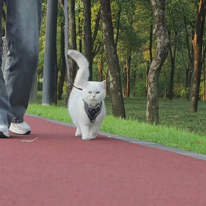 Cat Harness and Lead Set Escape Proof with Reflective Strips for Walking