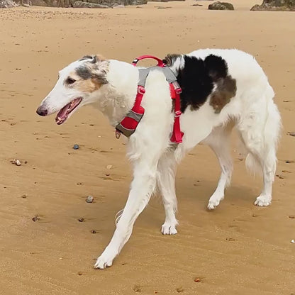 Breathable No Pull Mesh Vest Adjustable Reflective Universal Vest Dog Harness