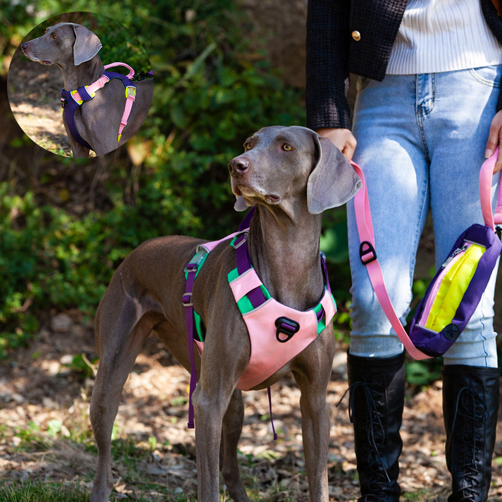 Nylon Outdoor Walking Dog leash With Custom Hip Pack